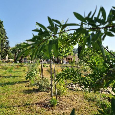 فيلا La Ferme Constantin فايانس المظهر الخارجي الصورة