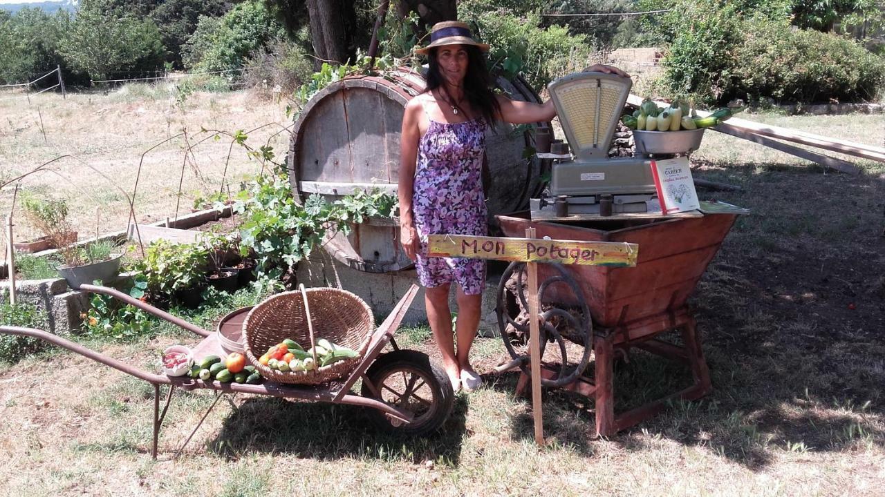 فيلا La Ferme Constantin فايانس المظهر الخارجي الصورة