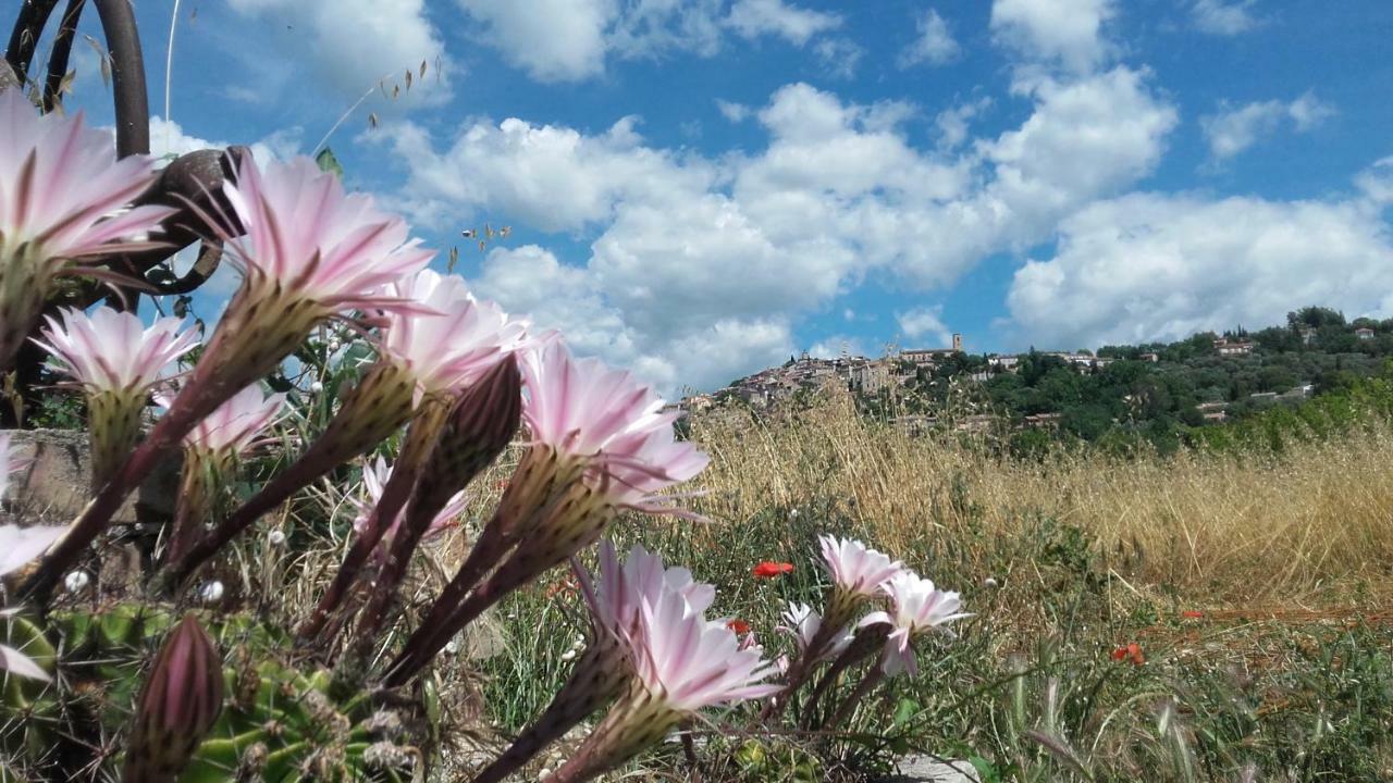 فيلا La Ferme Constantin فايانس المظهر الخارجي الصورة
