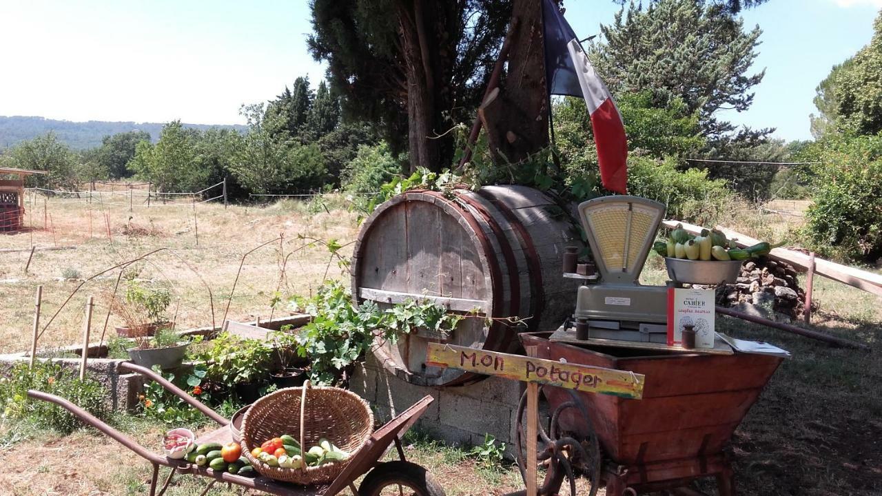 فيلا La Ferme Constantin فايانس المظهر الخارجي الصورة