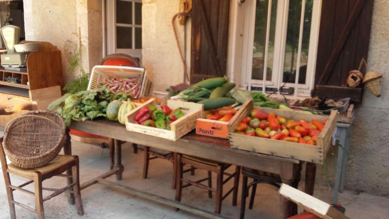 فيلا La Ferme Constantin فايانس المظهر الخارجي الصورة