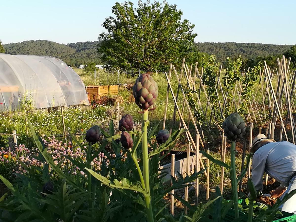 فيلا La Ferme Constantin فايانس المظهر الخارجي الصورة